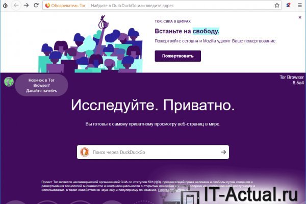 Мега через тор megadarknet de